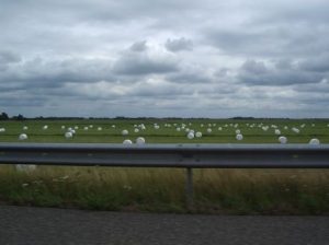 A12 op de schop